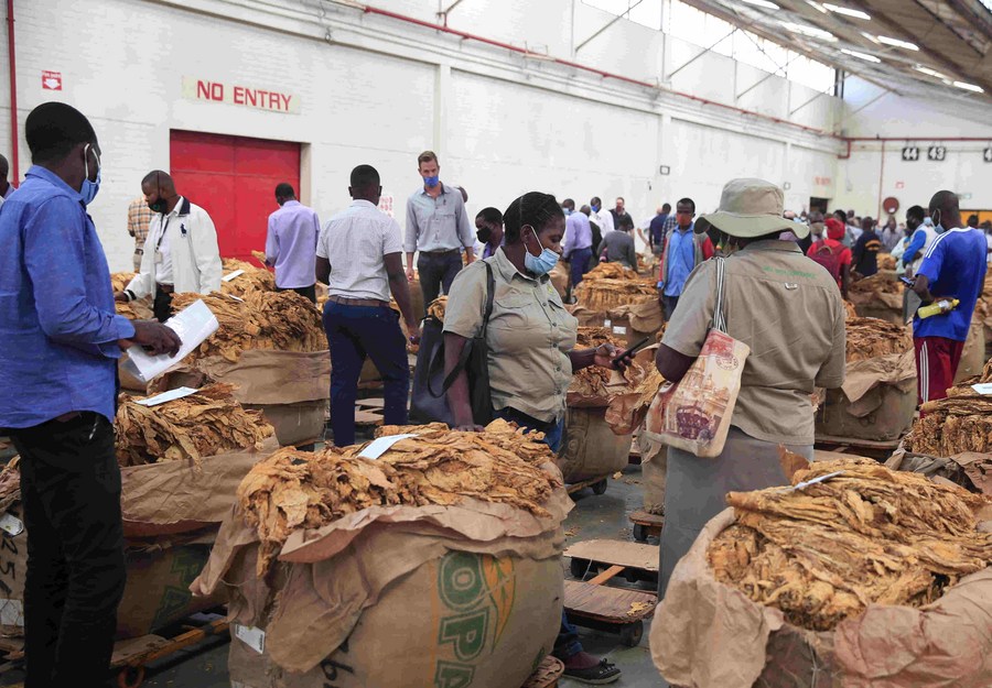 Zimbabwe's 2021 tobacco marketing season commences with high hopes