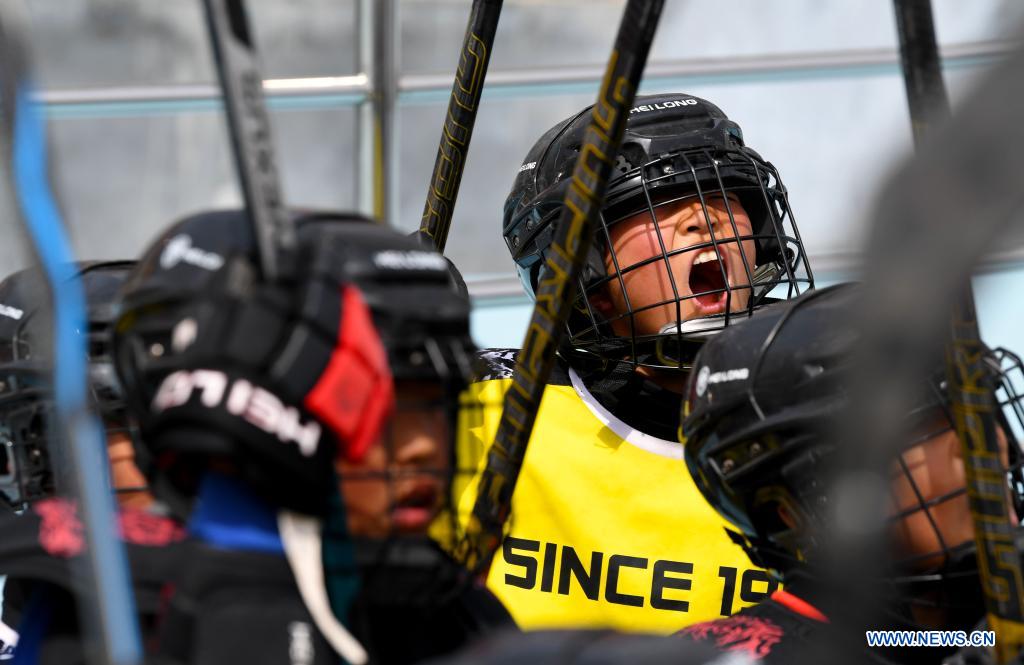 China's martial arts school builds ice hockey team Xinhua English