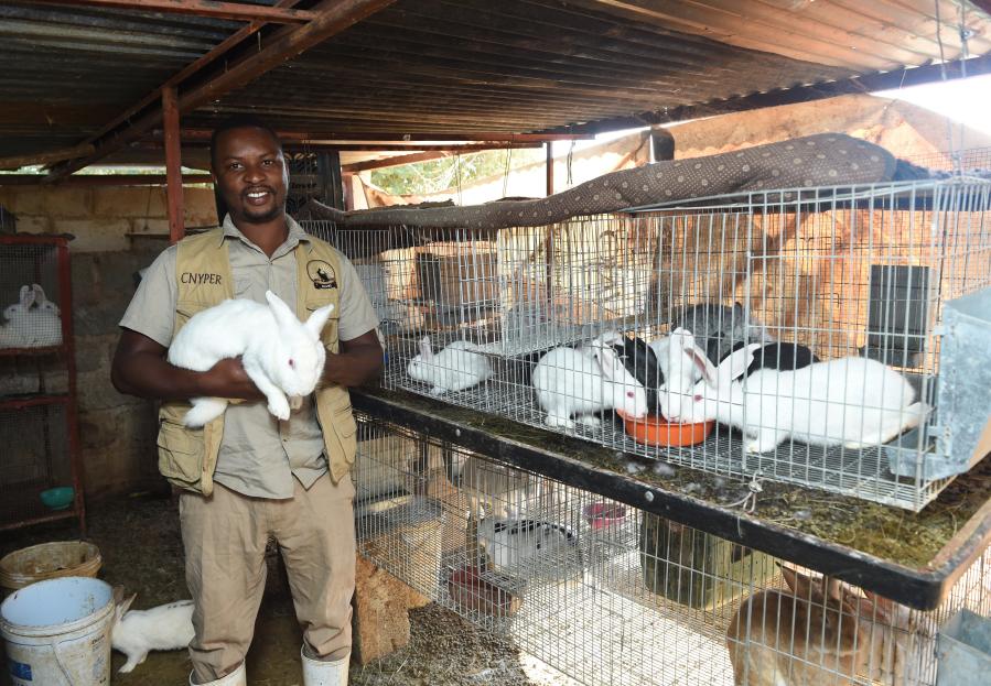 Rabbit Farming In Nigeria Cost Of Building Rabbit Hutch, 50 OFF