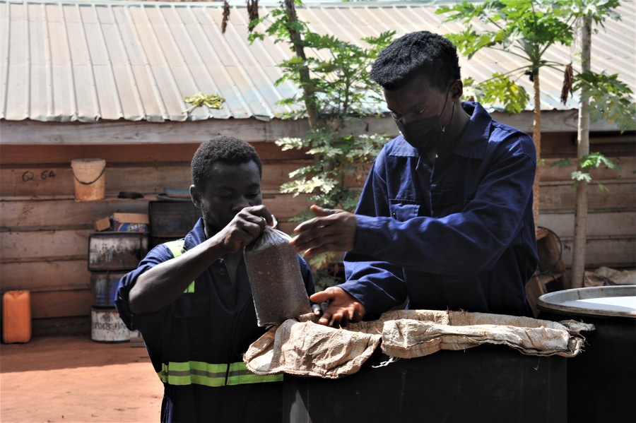 (Hello Africa) Feature From accountant to "mushroom queen," Ghanaian