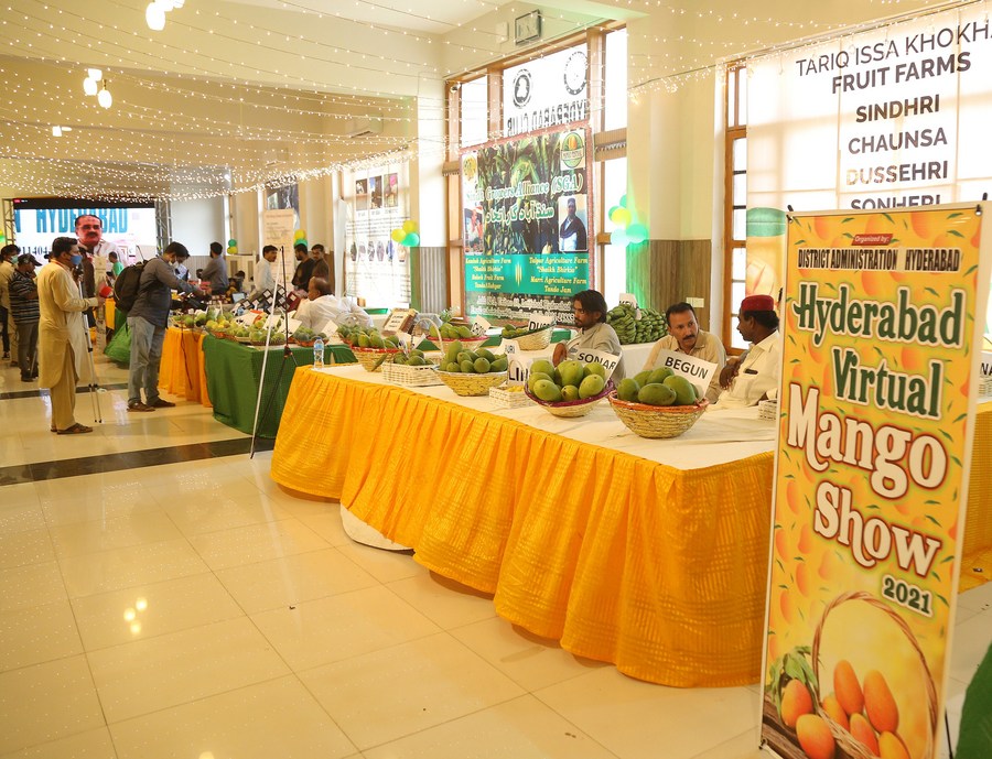 Asia Album Mango show in Pakistan's Hyderabad Xinhua English.news.cn