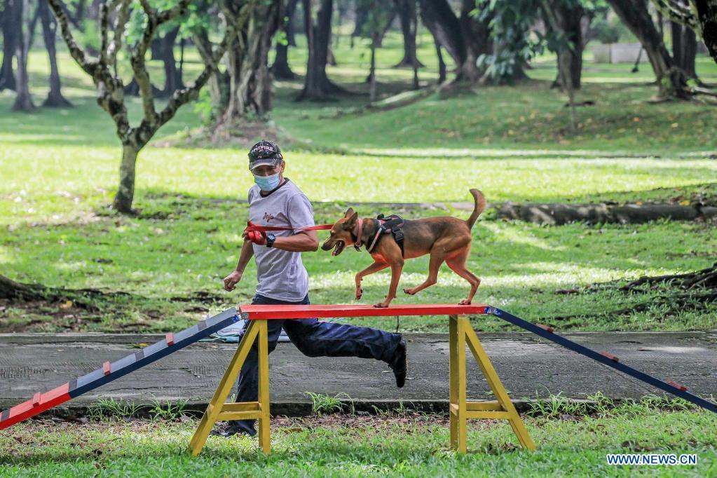People train dogs at UP Campus in Manila, the Philippines Xinhua