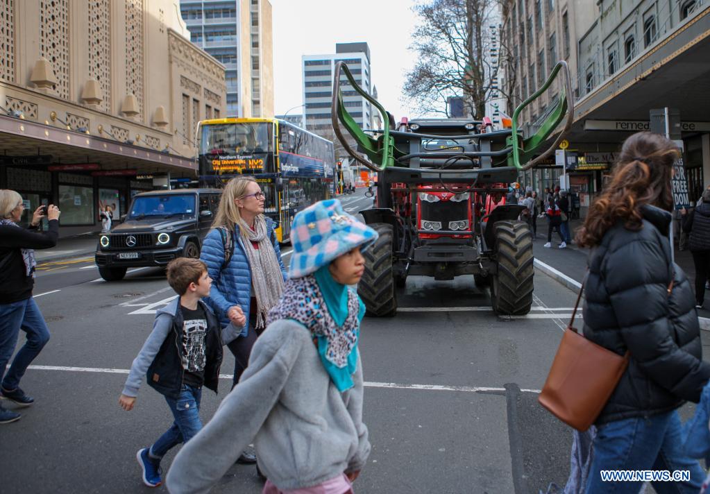 New Zealand farmers hold protests against heavier farming cost Xinhua English.news.cn