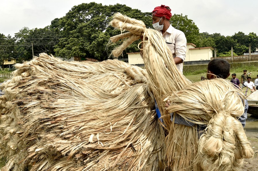 Asia Album "Golden Fibre" industry in Bangladesh Xinhua English