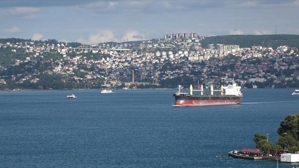 GLOBALink | Russia denies attacks on Ukrainian port after grain deal: Turkish minister