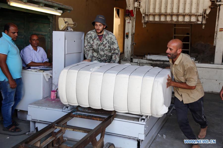 EGYPT-SHARQIYA-ECONOMY-COTTON-EXPORT