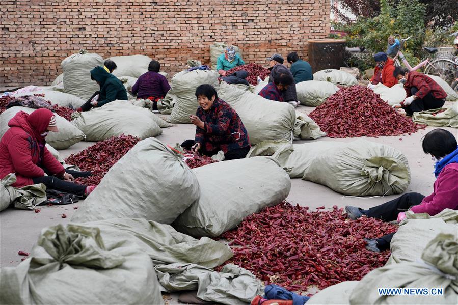 CHINA-SHANXI-AGRICULTURE-CHILLI INDUSTRY (CN)