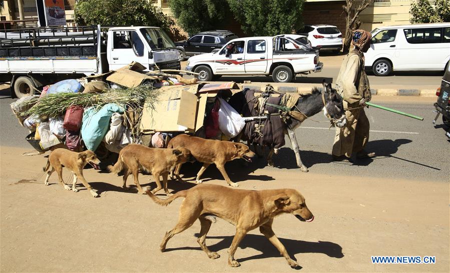 SUDAN-KHARTOUM-DAILY LIFE-DONKEY CART