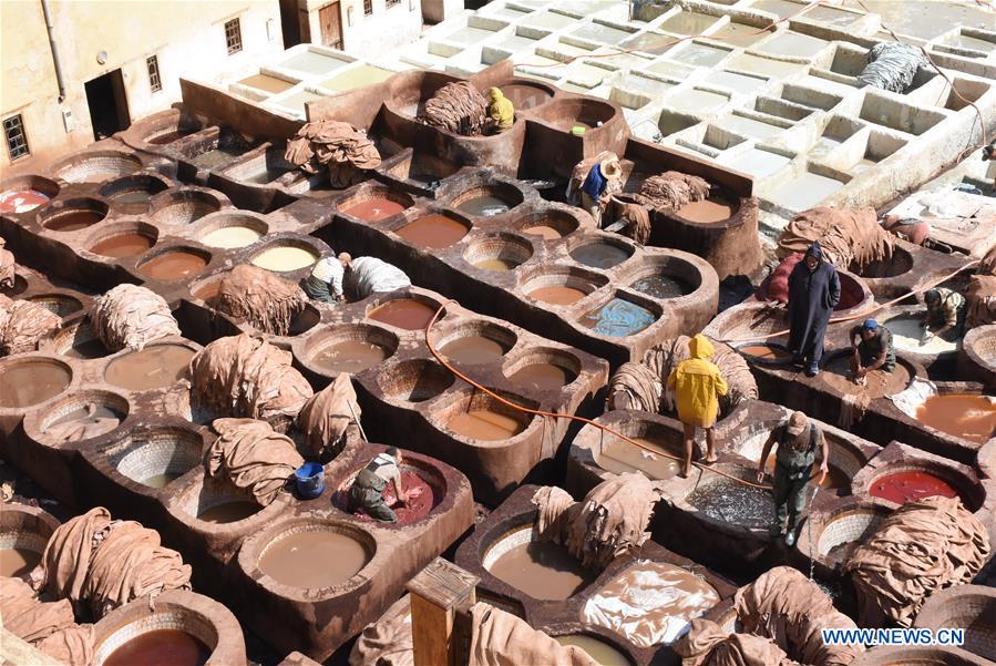 MOROCCO-FEZ-TANNERY