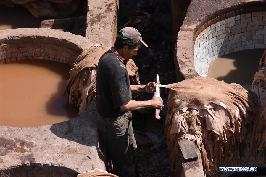 MOROCCO-FEZ-TANNERY