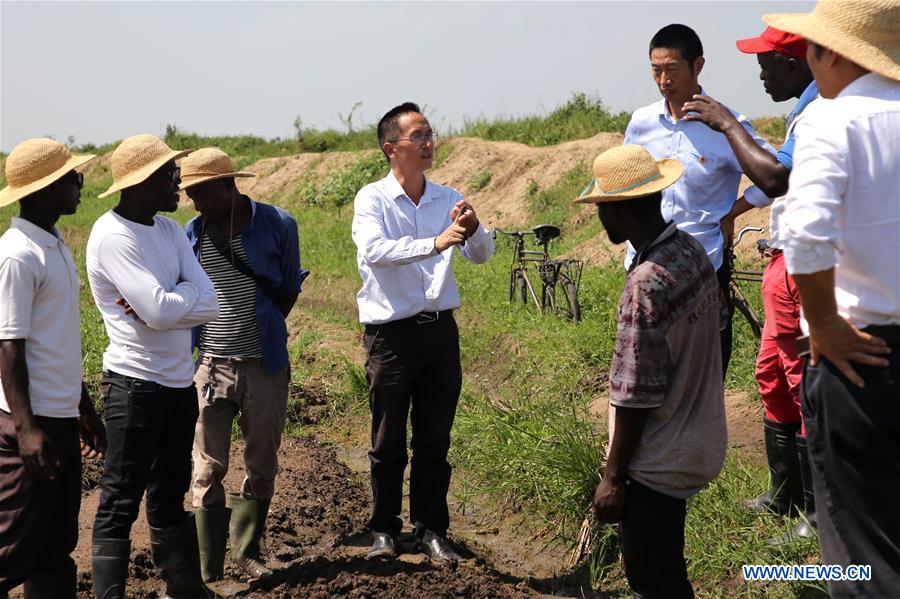 BURUNDI-BUBANZA-CHINESE HYBRID RICE