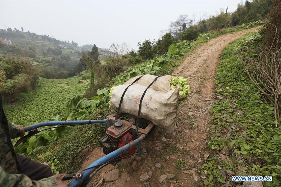 CHINA-CHONGQING-ECONOMY-PICKLE (CN)