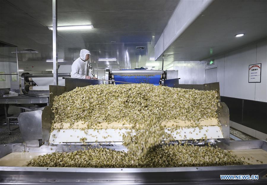 CHINA-CHONGQING-ECONOMY-PICKLE (CN)