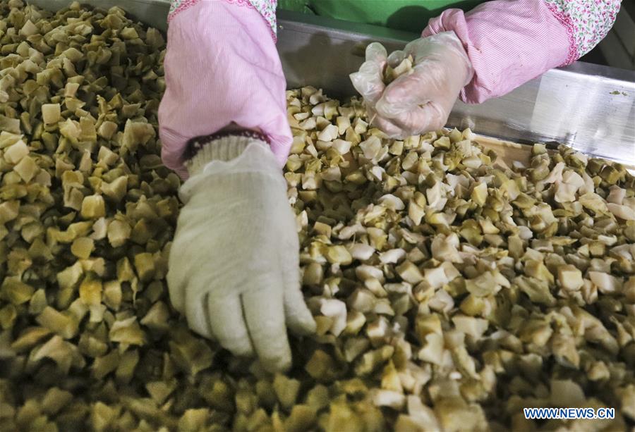 CHINA-CHONGQING-ECONOMY-PICKLE (CN)