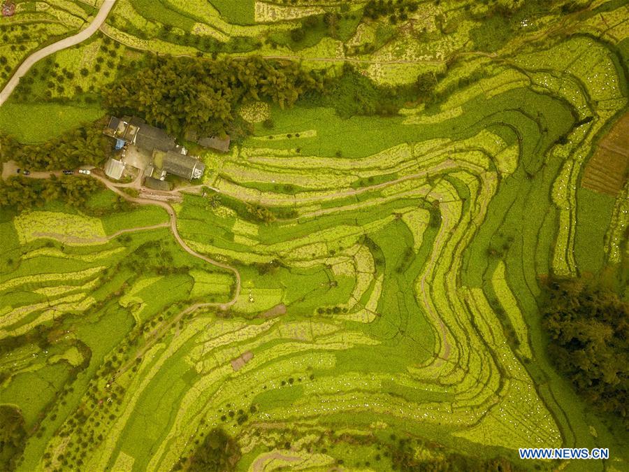 CHINA-CHONGQING-ECONOMY-PICKLE (CN)