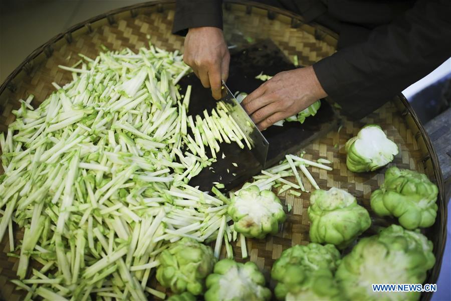 CHINA-CHONGQING-ECONOMY-PICKLE (CN)