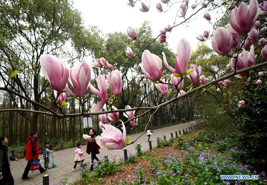 CHINA-SHANGHAI-CITY FOREST FLOWER EXHIBITION (CN)