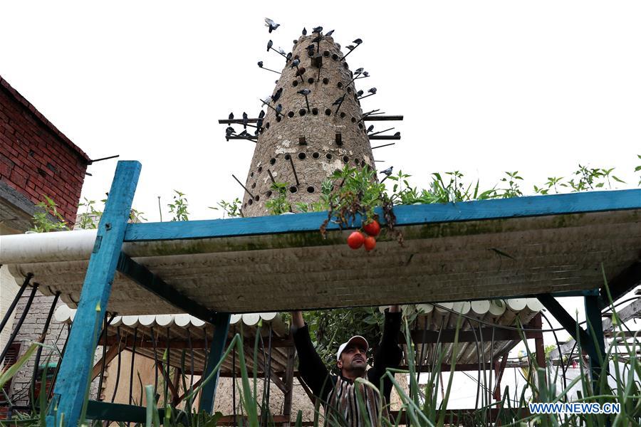 EGYPT-BEHEIRA-VILLAGE-POVERTY ALLEVIATION