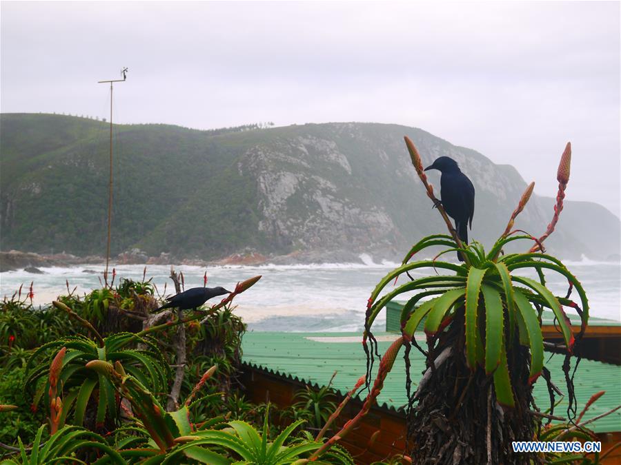 SOUTH AFRICA-SCENERY