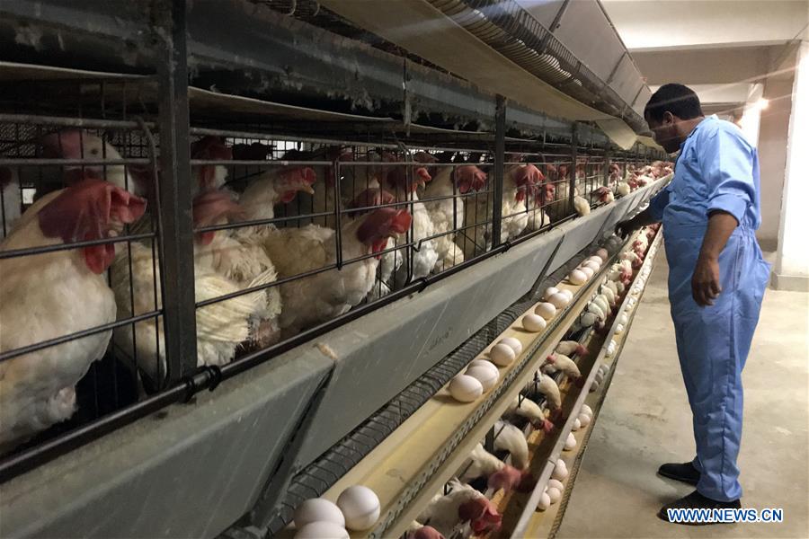 EGYPT-CAIRO-FORUM FOR EGYPTIAN PRISONS