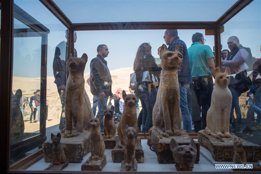 EGYPT-GIZA-SAQQARA-ANIMAL MUMMIES AND STATUES-DISCOVERY