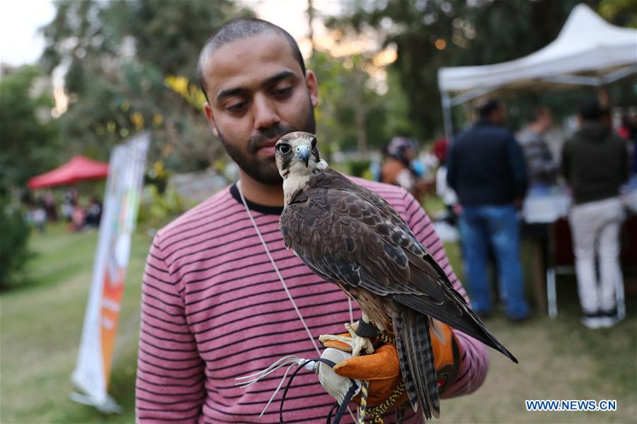 EGYPT-CAIRO-PET CARNIVAL