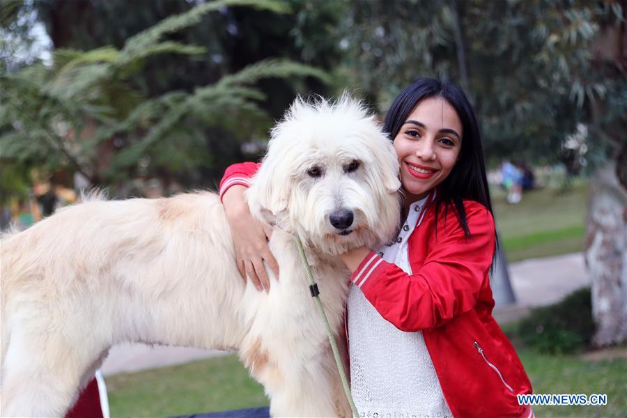 EGYPT-CAIRO-PET CARNIVAL