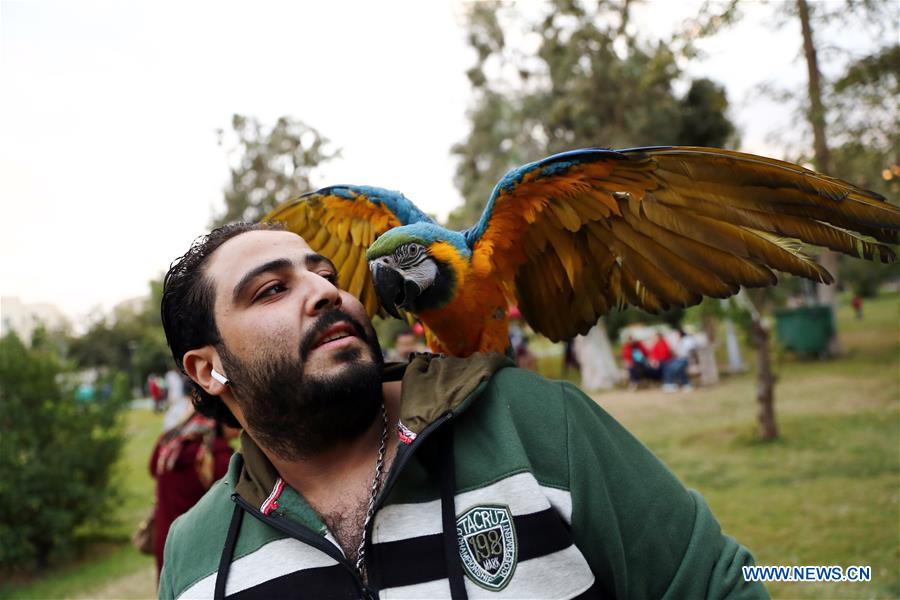 EGYPT-CAIRO-PET CARNIVAL