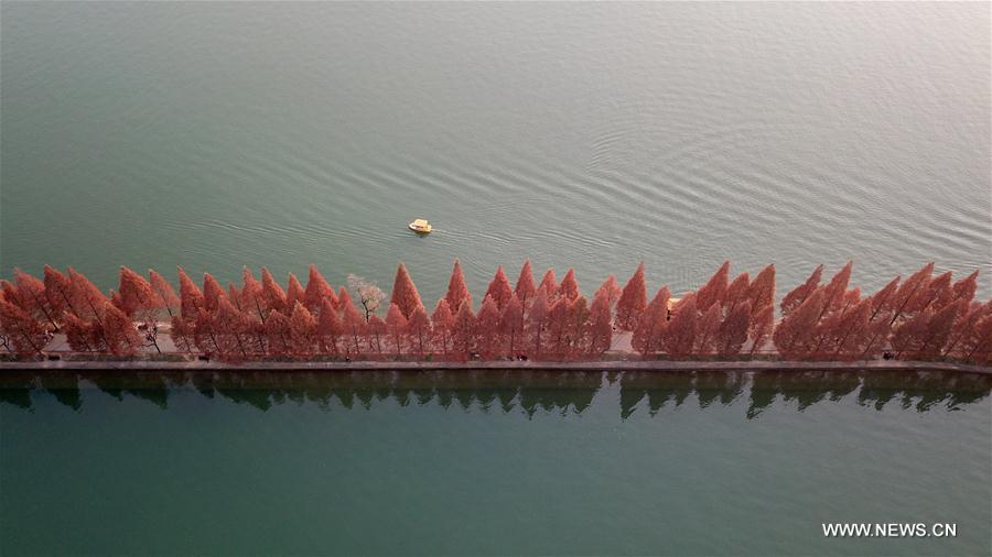 CHINA-HUNAN-CHANGSHA-NIANJIA LAKE-SCENERY (CN)