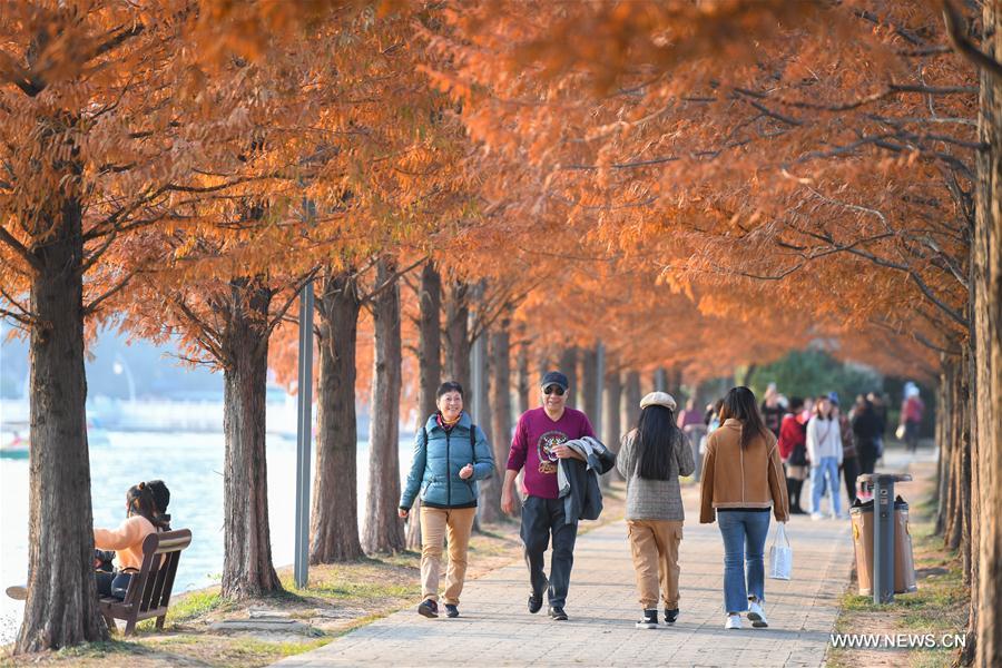 CHINA-HUNAN-CHANGSHA-NIANJIA LAKE-SCENERY (CN)