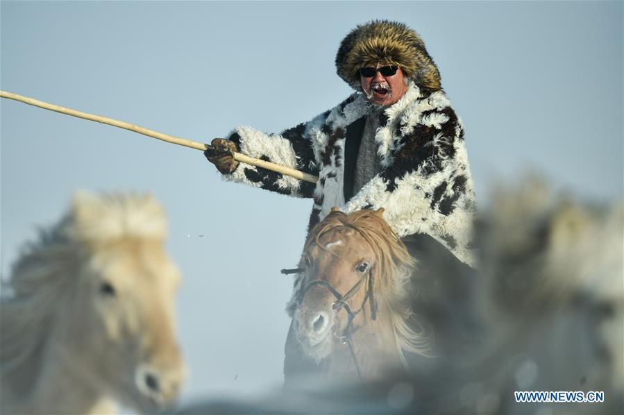 CHINA-INNER MONGOLIA-XILINHOT-HORSE TRAINING (CN)