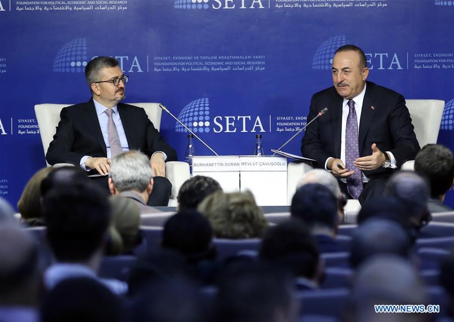 TURKEY-ANKARA-FM-LIBYA-CEASE-FIRE-PANEL