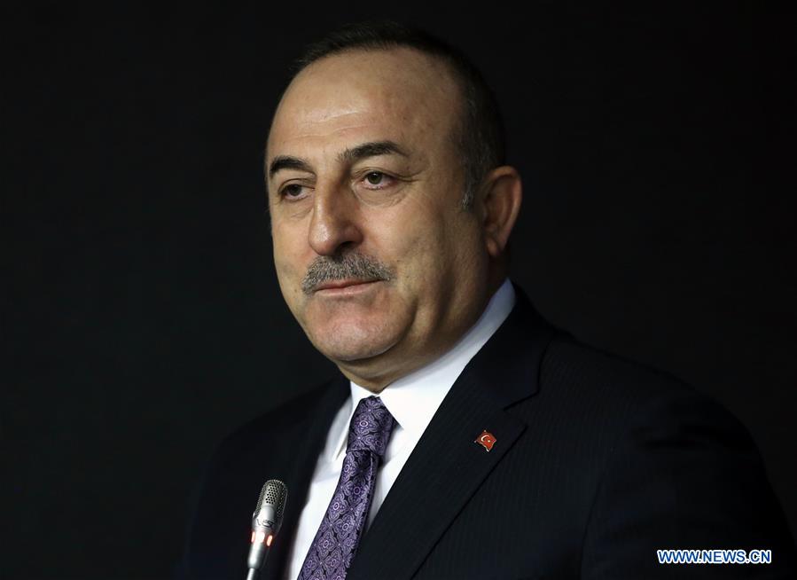 TURKEY-ANKARA-FM-LIBYA-CEASE-FIRE-PANEL