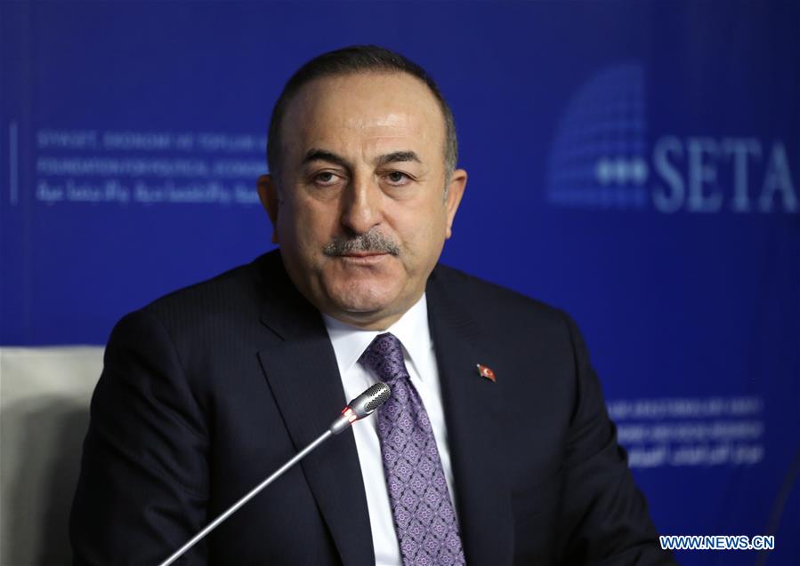 TURKEY-ANKARA-FM-LIBYA-CEASE-FIRE-PANEL