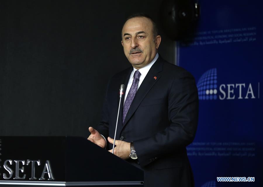 TURKEY-ANKARA-FM-LIBYA-CEASE-FIRE-PANEL