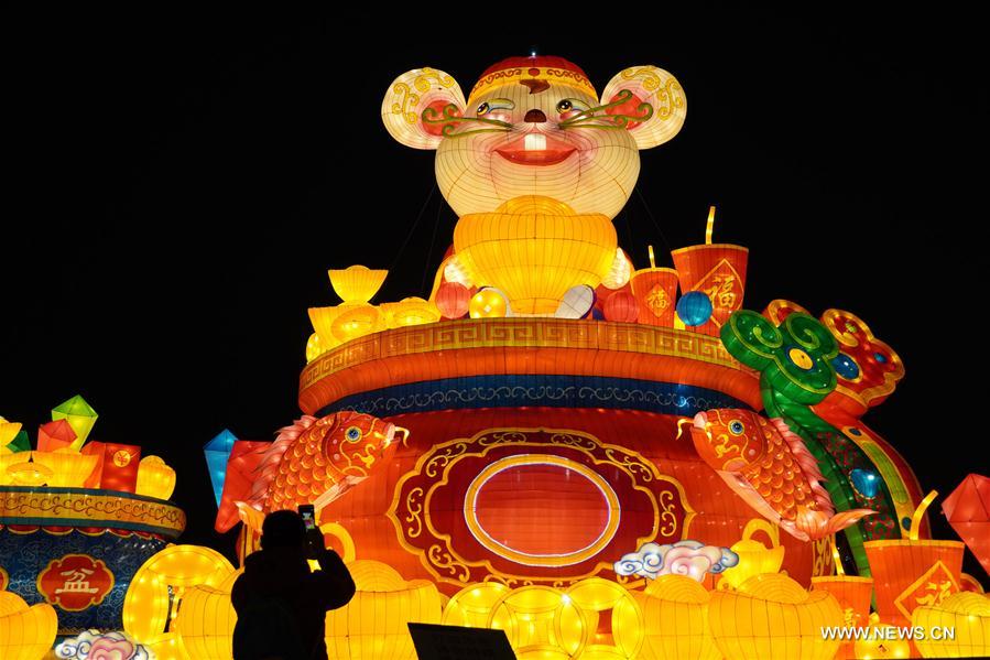#CHINA-LANTERN SHOW-SPRING FESTIVAL (CN)