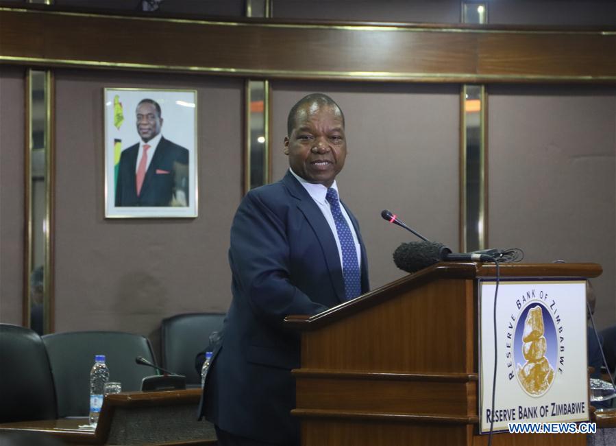 ZIMBABWE-HARARE-POSITIVE DE-DOLLARIZATION PROCESS