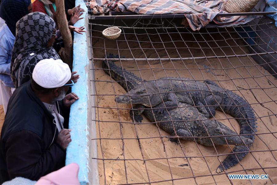 EGYPT-ASWAN-NUBIAN VILLAGE-TOURISM-CROCODILES