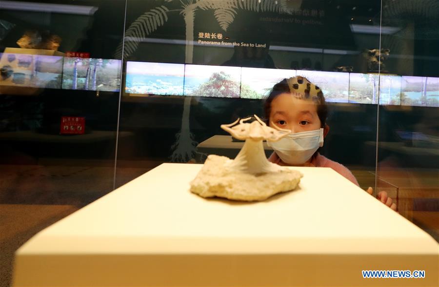 CHINA-SHANGHAI-MUSEUM-REOPEN (CN)