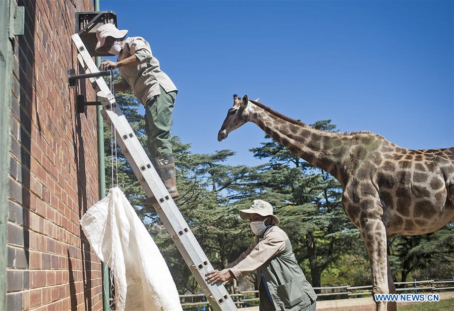 SOUTH AFRICA-JOHANNESBURG-ZOO-COVID-19-CLOSE