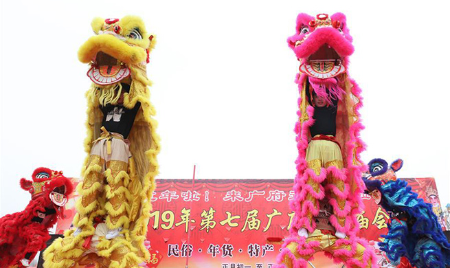 Highlights of temple fair in Handan, N China's Hebei