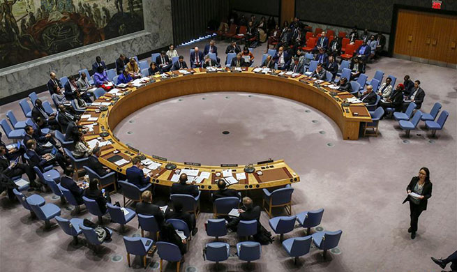 Security Council adopts resolution on silencing guns in Africa