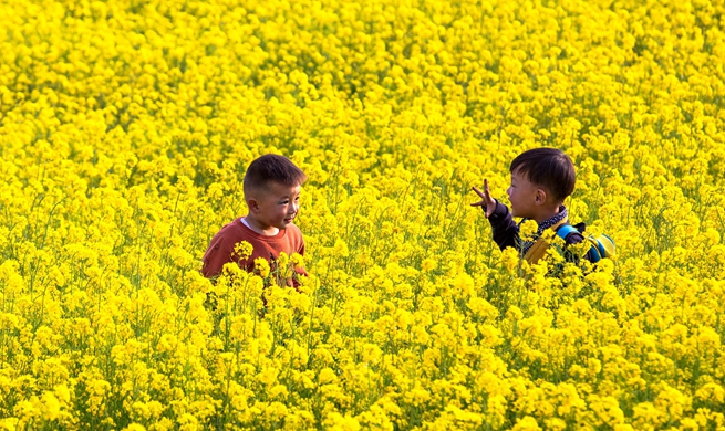 People enjoy cole flower scenery in China's Hebei