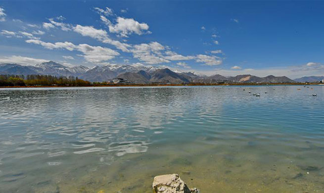 Lhalu wetland, "the Lung of Lhasa" in China's Tibet
