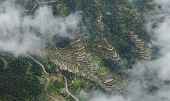 Aerial view of Tang'an terraced fields in SW China's Guizhou