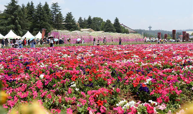 Tourists have fun amid flowers during Labor Day holiday in China
