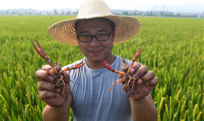 Zhejiang's Donglin Town develops agricultural polyculture system for better benefits
