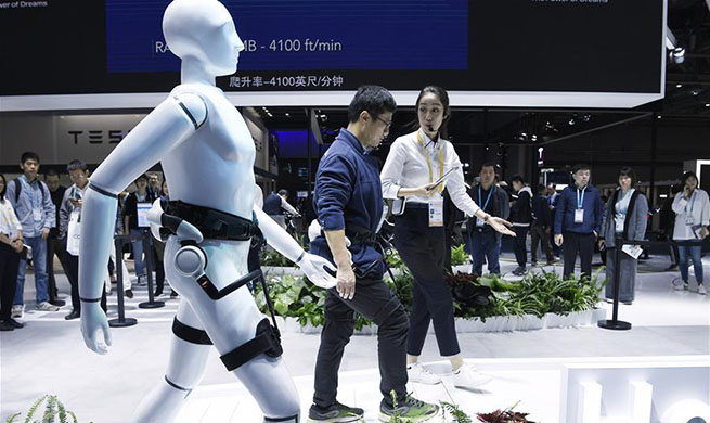 In pics: a glimpse of 2nd China International Import Expo