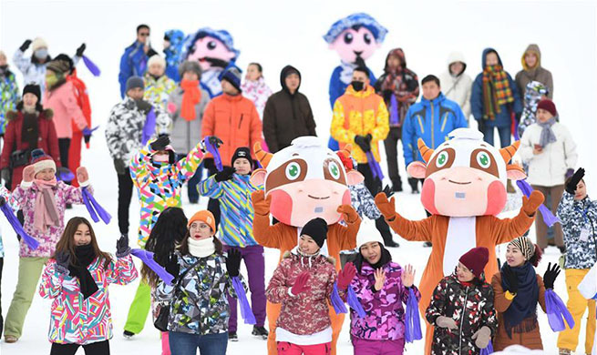 14th Xinjiang Winter Tourism Trade Fair opens