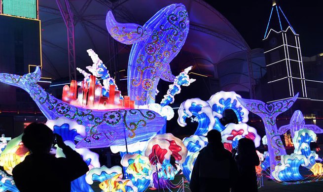 Light installation art festival held in E China's Shandong
